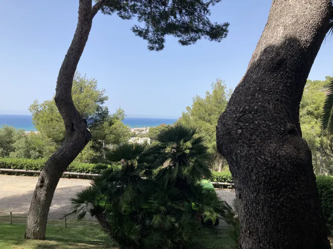 View from the hotel