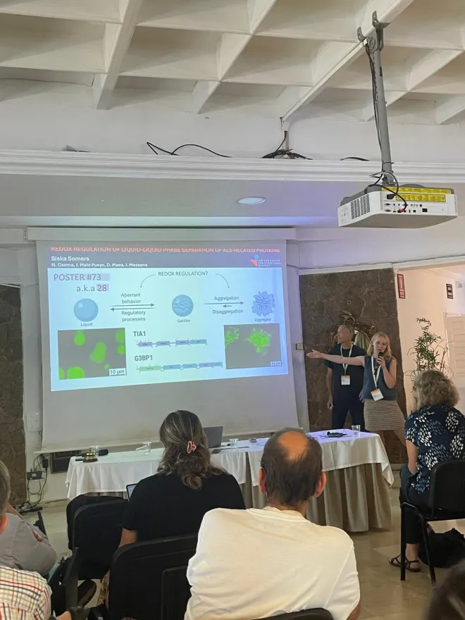 Siska presenting