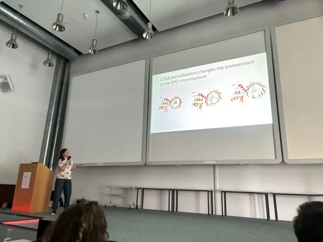 Daria presents the mechanism of PersIc